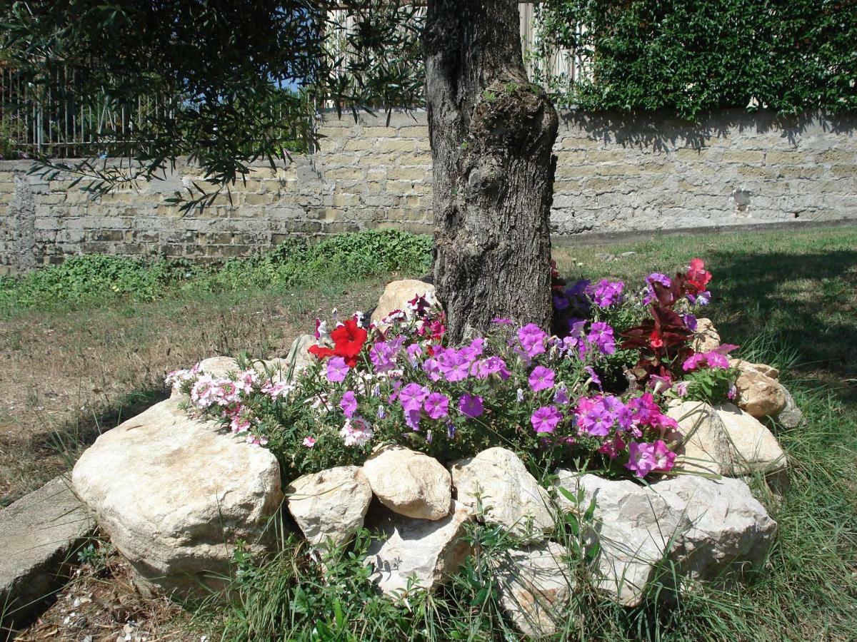 Bed and Breakfast Globetrotter Formia Zewnętrze zdjęcie